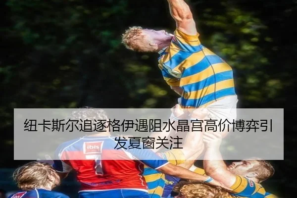 纽卡斯尔追逐格伊遇阻水晶宫高价博弈引发夏窗关注